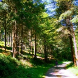 Les chemins pedestres