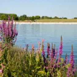 Lac de la Monnerie