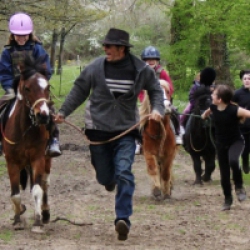 La Cavalerie des Mésangères