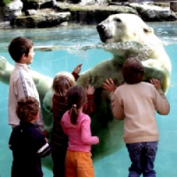Zoo de la Flèche